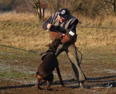 The christmas training 27.12.2006